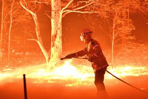 Feuerwehrmann beim Löschen von Waldbränden